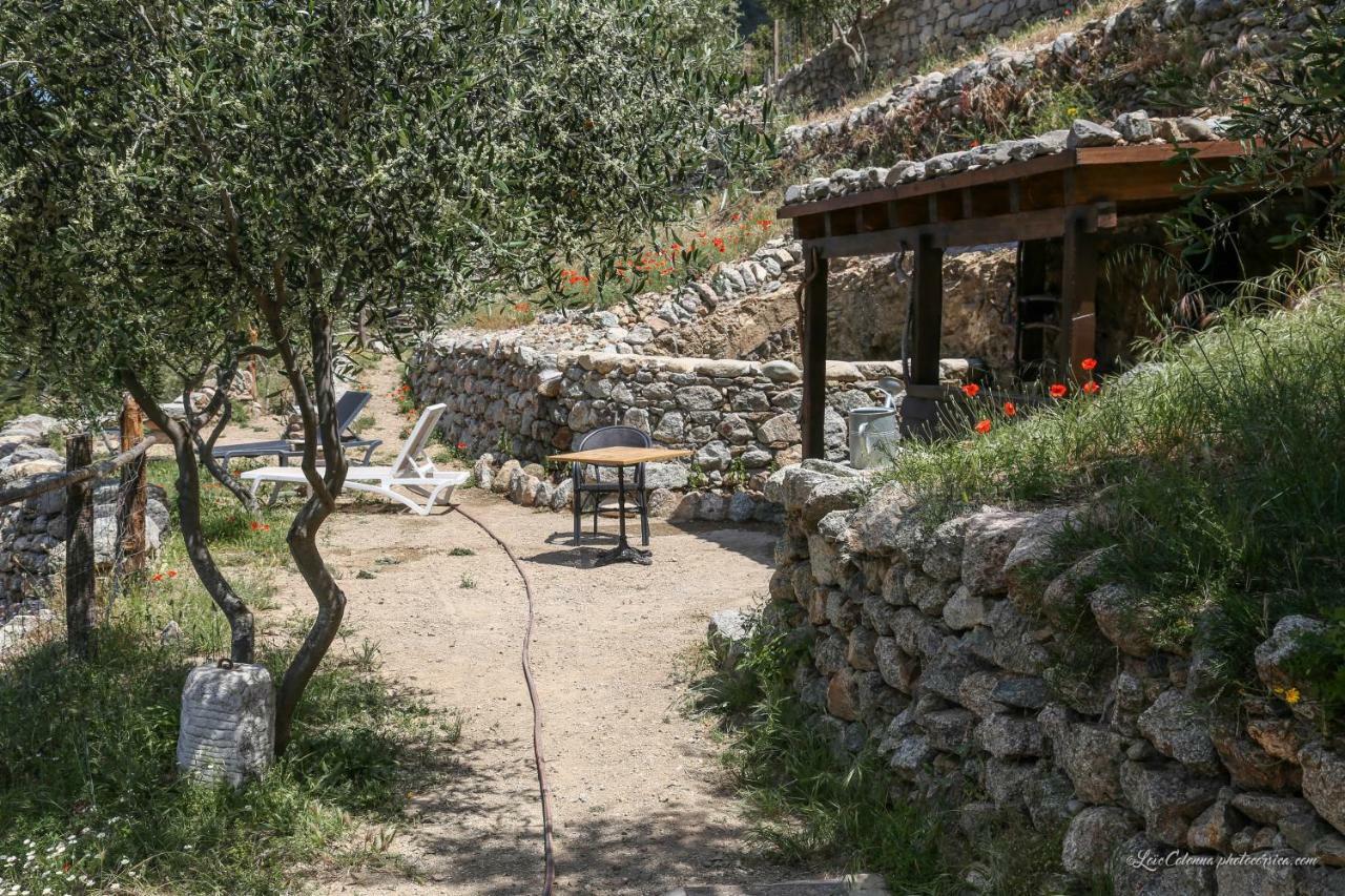 Hotel Les Bergeries Le figuier Omessa Exterior foto